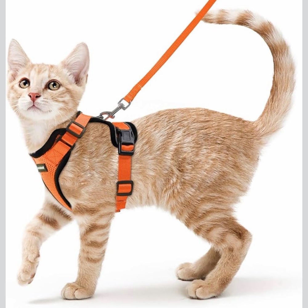 Rabbitgoo cat harness with leash and apple air tag